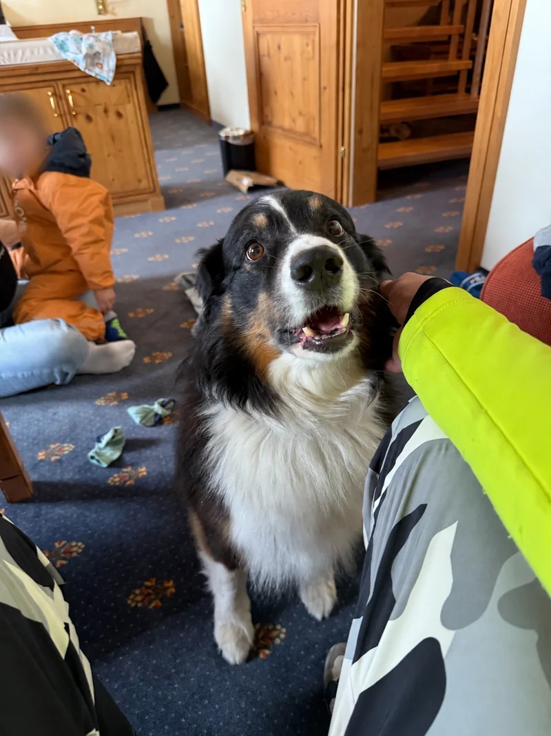 Hund im Wohnzimmer; Gesicht des Kindes unkenntlich gemacht
